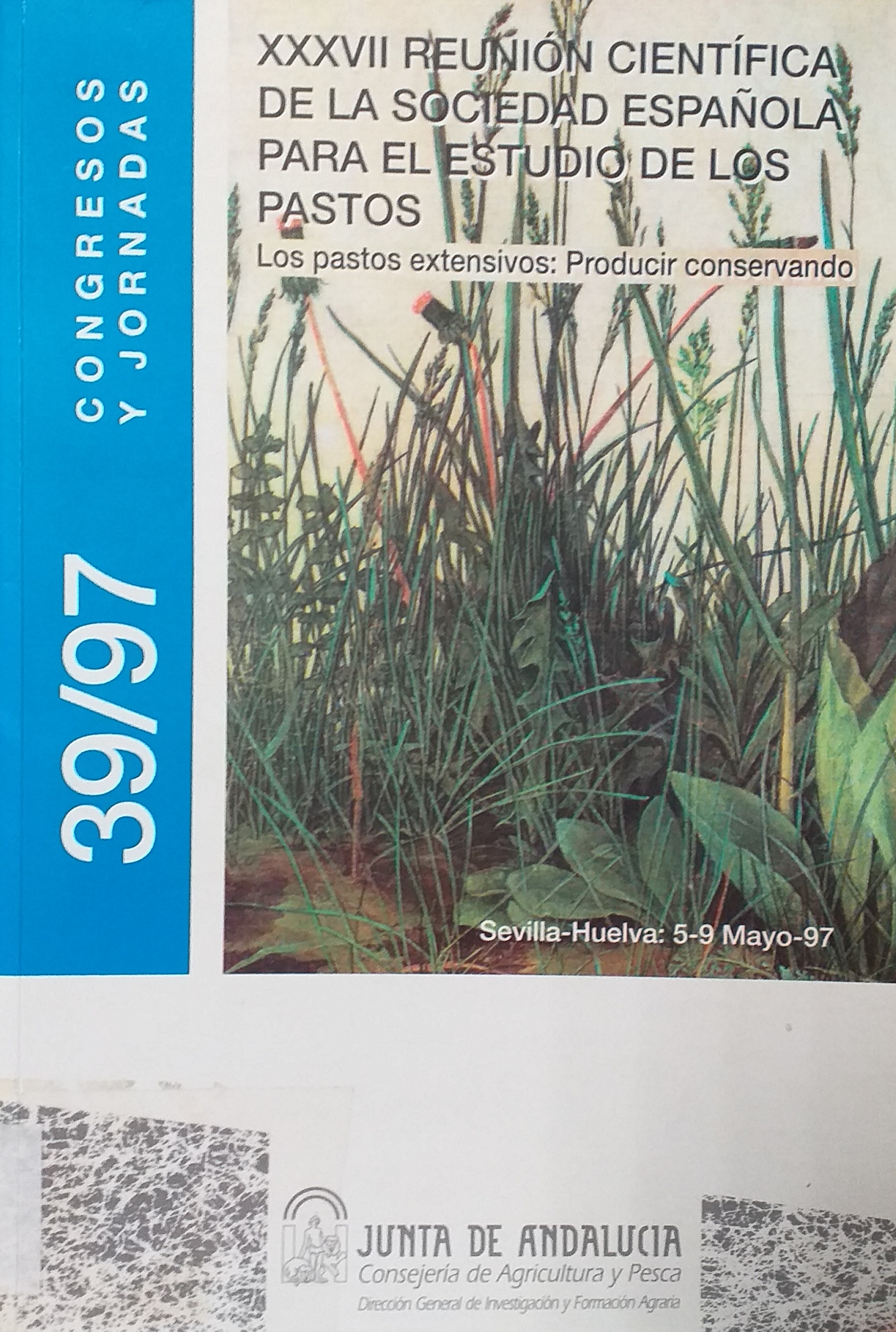 Imagen de portada del libro Los pastos extensivos